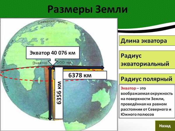 Высота приоры от земли